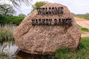 Monster Trophy Whitetail Deer 