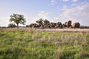 Trophy Whitetail Deer killed in central plains ranch