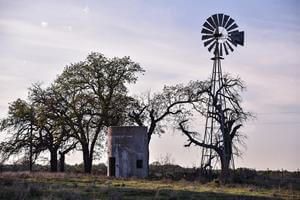 Trophy Whitetail Deer hunting ranches