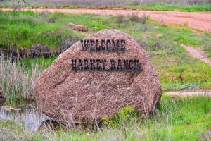 Gemsbok hunting ranch